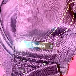 Chantelle bra/ (best brand for bras.) 34D